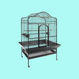 Category image: Bird Cages & Stands